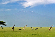 Kenya-Amboseli-Amboseli Horse Safari